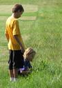 Looking in field for milkweed